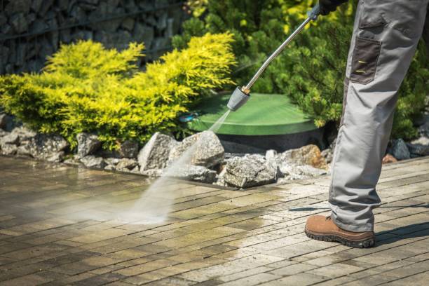 Best Driveway Pressure Washing  in Greenville, IN